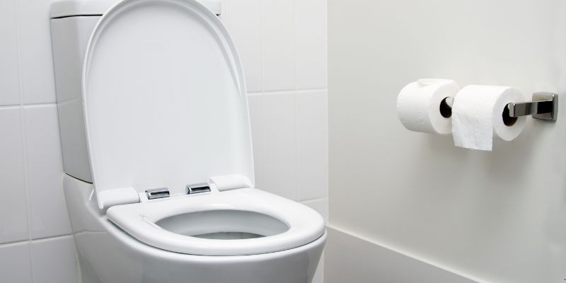 Como desentupir vaso sanitário com garrafa pet em Porto Velho