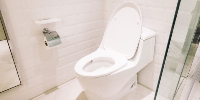 Como Desentupir Vaso Sanitário Que Caiu Objeto Dentro em Porto Velho: 4 Técnicas